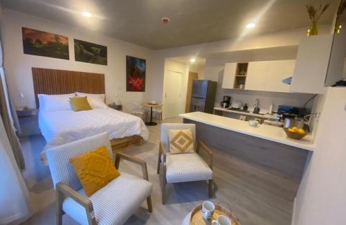 Mata Redonda Apartment | La Rana Studio