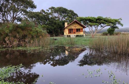 La Paloma House | La Ranita Negra