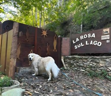 Osiglia House | La rosa sul lago