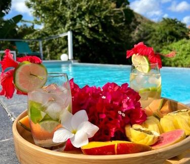 Sainte-Anne Villa | La Sucrerie, magnifique villa avec Piscine