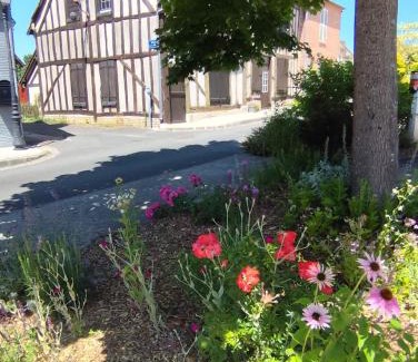 Chaumont-sur-Tharonne Bed & Breakfast | La tanière des ours
