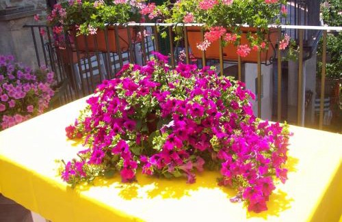 Ripa Bed & Breakfast | La terrazza fio.Rita