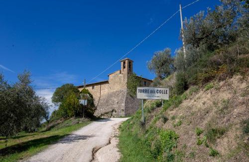 Torre del Colle Apartment | La Vernaccia - Torre del Colle, Bevagna