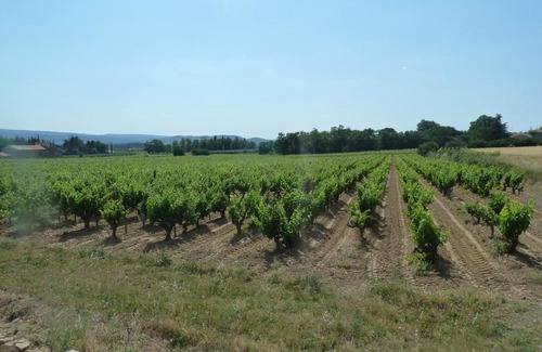 Saint-Just House | La Vigne