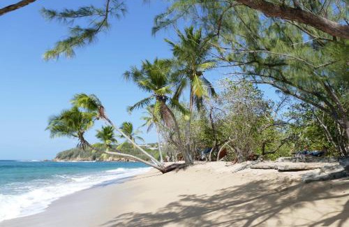 Tartane Villa | la villa caribéenne de la plage des surfeurs
