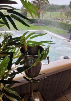 Tinlot House | LA VILLA DE SENY , villa de charme avec jardin ,Piscine nature, jacuzzi , petanque, fitness, billard,ping pong,