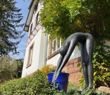 La Petite-Pierre House | LA VILLA DES OISEAUX - La Petite Pierre
