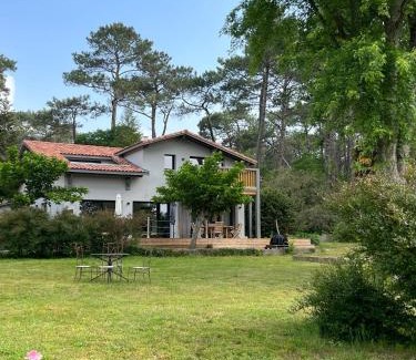 Seignosse Bed & Breakfast | Laguillotte