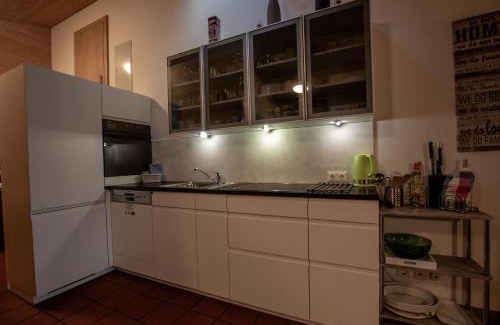 Zell am See Apartment | Lake and Mountain View