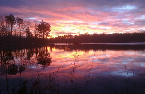 Bumpass Cabin | Lake Anna log cabin