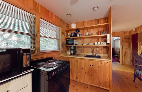 Moultonborough Apartment | Lake-view condo near golf with a grill & cable - dog-friendly