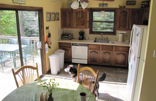 Tobyhanna Ski Chalet | Lakefront - Game room, Fire Place, Dock, Deck, WiFi, Boats, AC, Dog Friendly!
