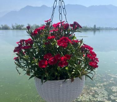 Dal Lake House | Lakes and peaks