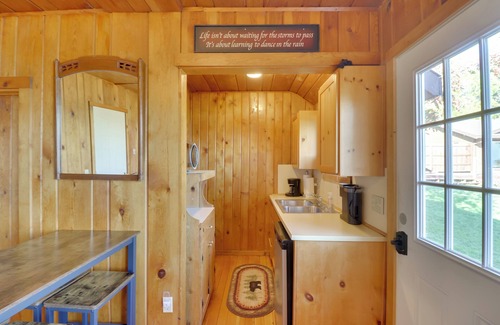 Lakeside Cabin | Lakeside Cabin w/Beach ~ 14 Mi to Ski Area!