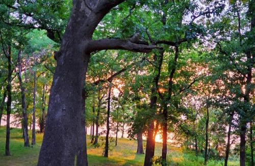 Quitman House | Lakeside Retreat