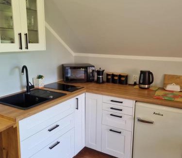 Staszow Apartment | Laki house