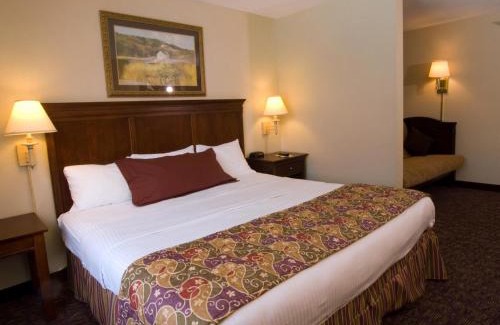 Springfield Hotel | Lamplighter Inn-South