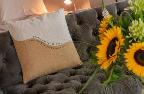 Oud-Alblas Apartment | Landelijke boerderijkamer, dichtbij Kinderdijk