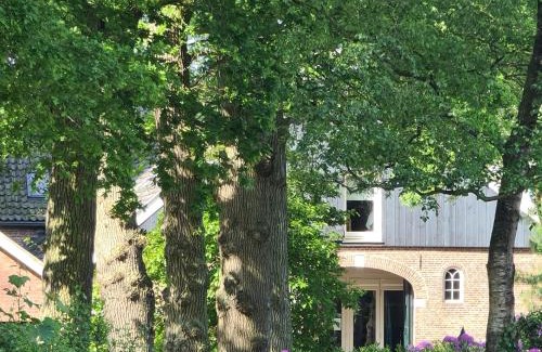 Zenderen Bed & Breakfast | Landgoed De Lavei