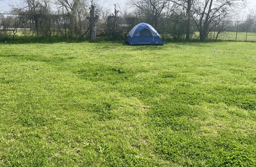 Waco RV Rental | Large Campsite in Waco on Mini-Farm F2