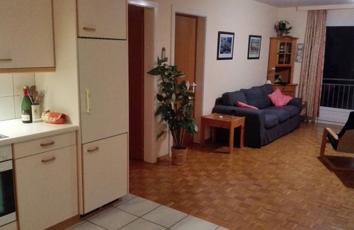 Leysin Apartment | Large family apartment - breathtaking view, Ski-in