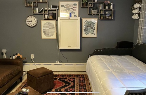 Gowanus Apartment | Large Park Slope 1 Bedroom apartment with backyard access