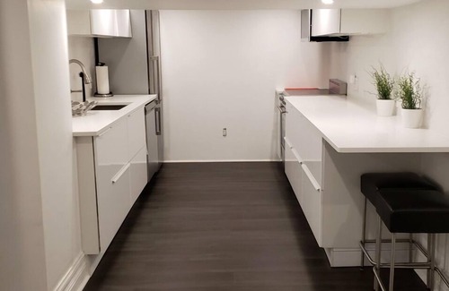 South Hill Apartment | Large renovated, furnished 1 BR basement apartment