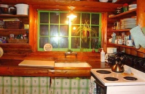 Rhododendron Cabin | Laughing Bear Log Cabin, historical, sleeps 8, full kitchen, 2 dining areas!
