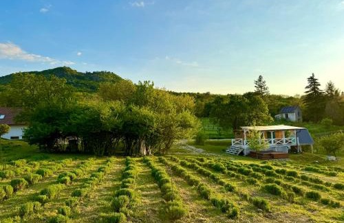 Kisapati House | Lavender Eco lodge át lake Balaton
