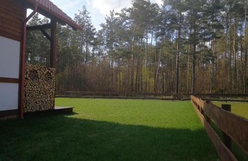Borowy Mlyn House | Leśna Ostoja