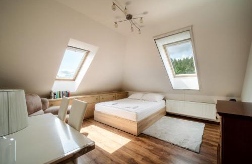 Ilawa House | Leśne Dziarnówko