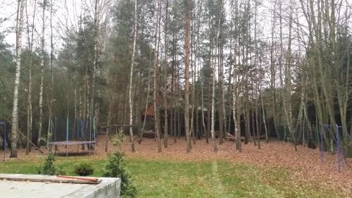 Nowa Wies House | Leśny dom wypoczynkowy z dużym ogrodem