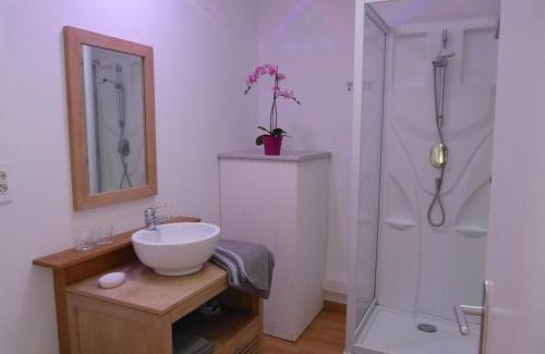 Hallennes-lez-Haubourdin Apartment | le 99B Modern apartment queen size bed connected TV