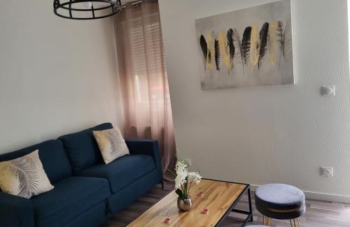 Oyonnax Apartment | Le bel'air appartement chaleureux et calme oyonnax