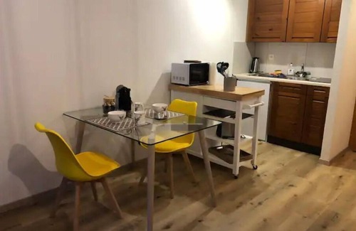 Evolene Apartment | Le Cerf, magnificent studio with terrace and garage