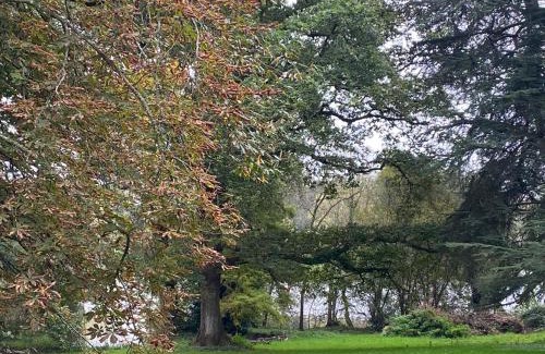 Suce-sur-Erdre House | Le Château de John Miles au bord de l’eau