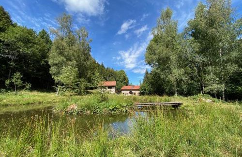 Le Tholy Ski Chalet | Le chalet de Nicolas - Your Nature Exclusive Retreat !