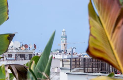 RACINE EXTENSION Apartment | Le claridge Emerauld with gym and rooftop corniche by Viva Stay
