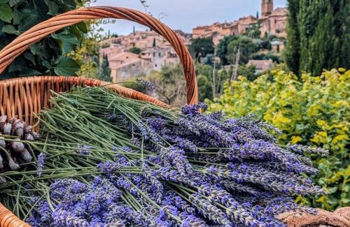 Mirabel-aux-Baronnies Villa | Le Clos de la Croix du Serre
