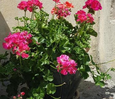 Campagne-sur-Aude Apartment | LE CLOS DES COLVERTS