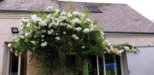 Saint-Denis-en-Val House | Le Coffret d'avenir