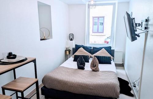 Montbeliard Apartment | Le Cosy au pied du Château-Centre Ville