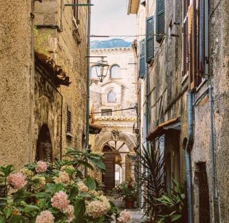 Collepardo Bed & Breakfast | Le erbe magiche