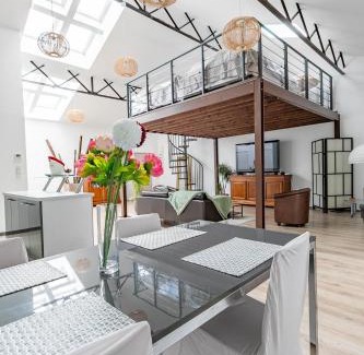Senlis Apartment | Le Faubourg Saint Martin Loft and Spa 1