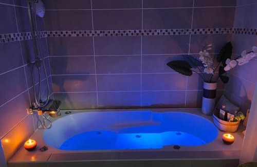 Senlis Apartment | Le Faubourg Saint Martin Loft and Spa 1