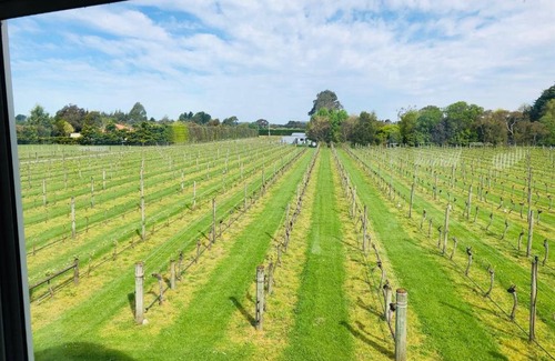 Opaki Bed & Breakfast | Le Grá Vineyard and Winery
