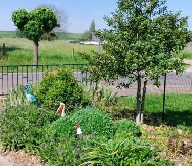 Hampont House | Le grain de sel