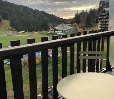 Laveissiere Apartment | Le Lioran, La Sumène, Studio balcon tout confort aux pieds des pistes