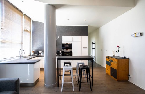 Besancon Old Town Apartment | Le Loft Horloger