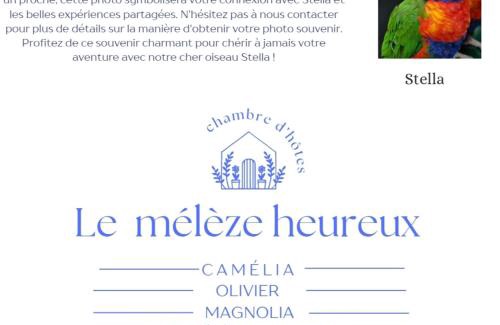 Brugelette House | Le mélèze heureux